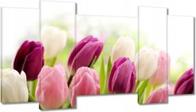 Képek 120x65 Gyönyörű tulipánok