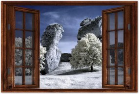 Poszterek 90x60 Tájkép Infravörös fotó