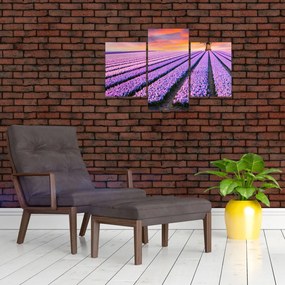 Kép - virágfarm (90x60 cm)