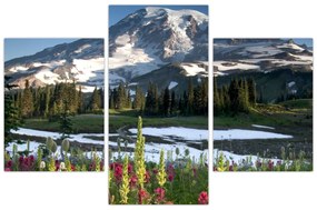 Kép - Mount Rainier (90x60 cm)