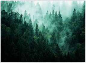 Fotótapéták 254x184 Erdő Köd Tájkép Utazás