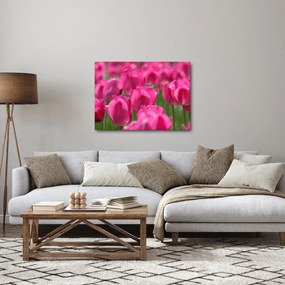 Kép - Rózsaszín tulipánok (70x50 cm)