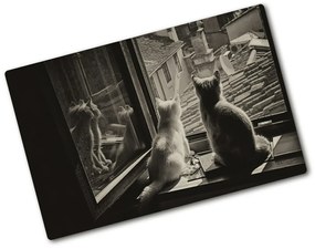 Üveg vágódeszka Macskák az ablakban pl-ko-80x52-f-86646592