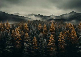 Poszter 42x29,7cm Ködös reggel