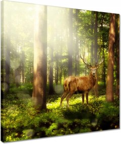 VĂĄszonkĂ©p 40x40 Szarvas a varĂĄzslatos erdĆben