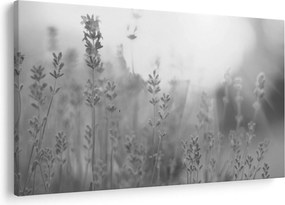 Kép - Levendula (90x60 cm)