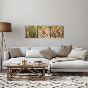 Kép - Gabona (órával) (90x30 cm)
