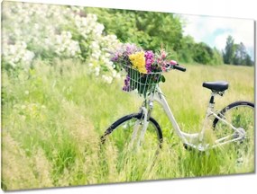 Vászonkép 120x80 Nő virágokkal