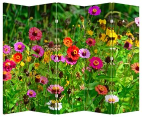 Paraván -  Réti virágok (210x170 cm)
