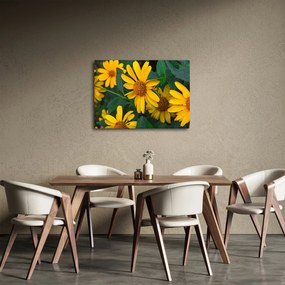 Sárga virágok képe (70x50 cm)