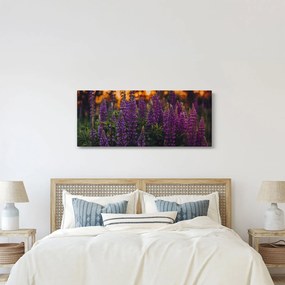Egy csillagfürt virág képe (120x50 cm)