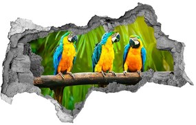 3d lyuk fal dekoráció Papagájok, elágazik nd-b-42532067