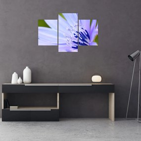 Kép - Virág (90x60 cm)