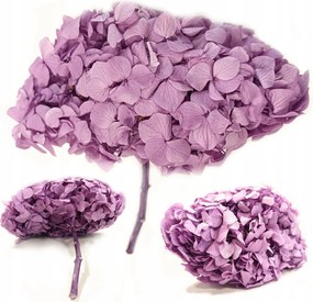 Hortenzia stabilizált Hydrangea Lila szárított csokrok díszítésére