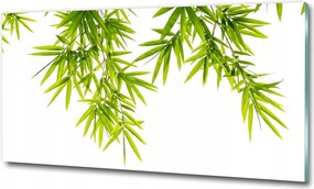 Fotó kép fotó edzett üveg Bambusz 125x50
