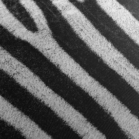 Kép egy zebra bőrről (90x60 cm)