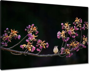 Vászonkép 100x70 Madarak