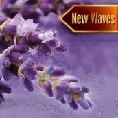 Szauna illatosító levendula illat