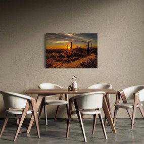 Kép - A nap vége az arizonai sivatagban (90x60 cm)