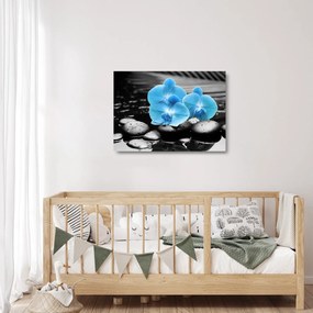 Üveg kép - Kék orchidea (70x50 cm)