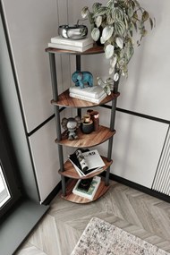 Bookcase könyvespolc, dió, 34 cm – TR282PTR1103