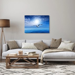 Üveg kép - Sirály a tenger felett (70x50 cm)