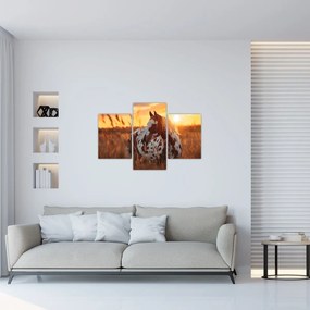 Kép - Ló naplementében (90x60 cm)