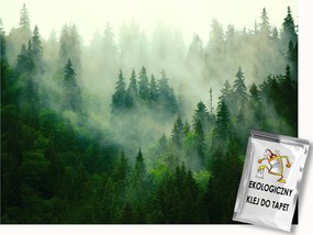 Fotótapéta Flizelina Tájkép Hegyek Erdő Fák Fenyő Zöld Köd 400x280 ragasztó