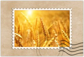 Poszterek 60x40 Gabona érik a napfényben