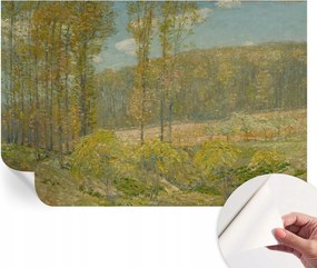 Öntapadós Dekoratív Fotótapéta Hálószobába Erdei tájkép 104x70 cm