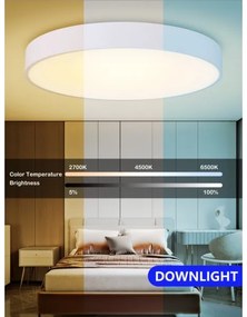 Immax NEO 07207L-LED Dimmelhető mennyezeti lámpa RONDATE 65W/230V Tuya fehér + távirányító