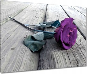 Vászonkép 80x60 Rózsa a szerelmesek napjára