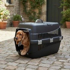 Kisállat szállítóbox, L 45x65x45 cm