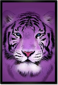 Poszterek keretben 40x60 Lila tigris kép
