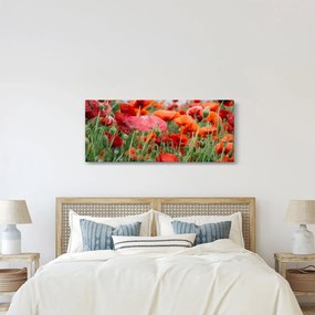 Egy kép a pipacs mezőről (120x50 cm)