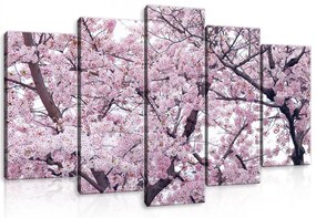 Vászonkép 5 darabos, Virágzó cseresznye fa 100x60 cm méretben