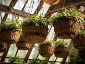 Poszter 80x60cm Privát Függő Kertek