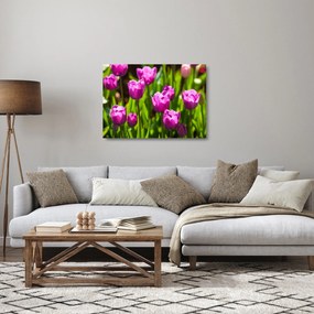 Tulipánok a réten képe (üvegen) (70x50 cm)