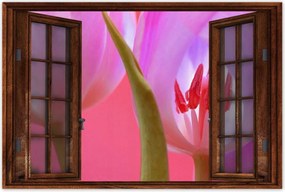 Poszterek 120x80 Rózsaszín tulipán