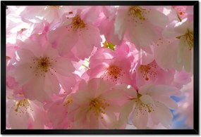 Poszterek keretben 60x40 Finom virágok