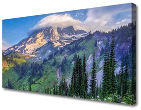 Vászonkép nyomtatás Forest Landscape Mountain Nature 100x50 cm