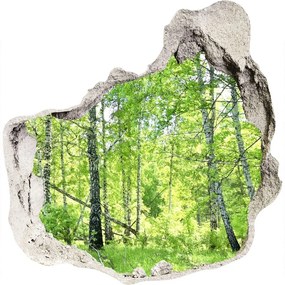3d lyuk fal dekoráció Nyírfa erdő nd-p-84161730
