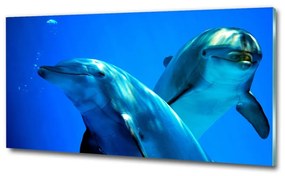 Üvegkép Két delfin osh-16277956