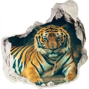 Fali matrica lyuk a falban Tiger cave nd-p-121530926
