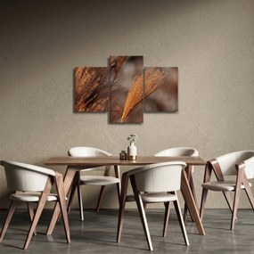 Kép - Cortaderia (90x60 cm)