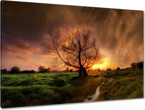 Vászonkép 120x80 Tölgy a croissant-ban Nyugat