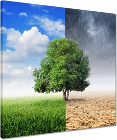 Vászonkép 50x50 Esős évszak