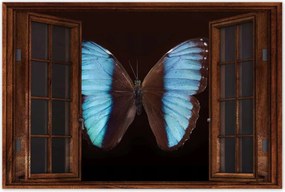 Poszterek 90x60 Kék pillangó