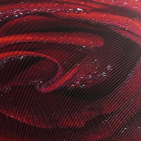 Kép - Vörös rózsa harmatcseppekkel (órával) (90x30 cm)