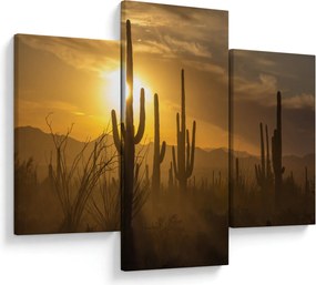Kép - Saguaro kaktuszok (90x60 cm)